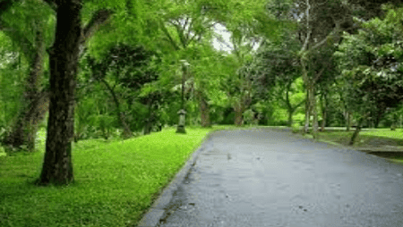 Puisi Hujan Di Bulan Oktober Oleh Suyatri Yatri