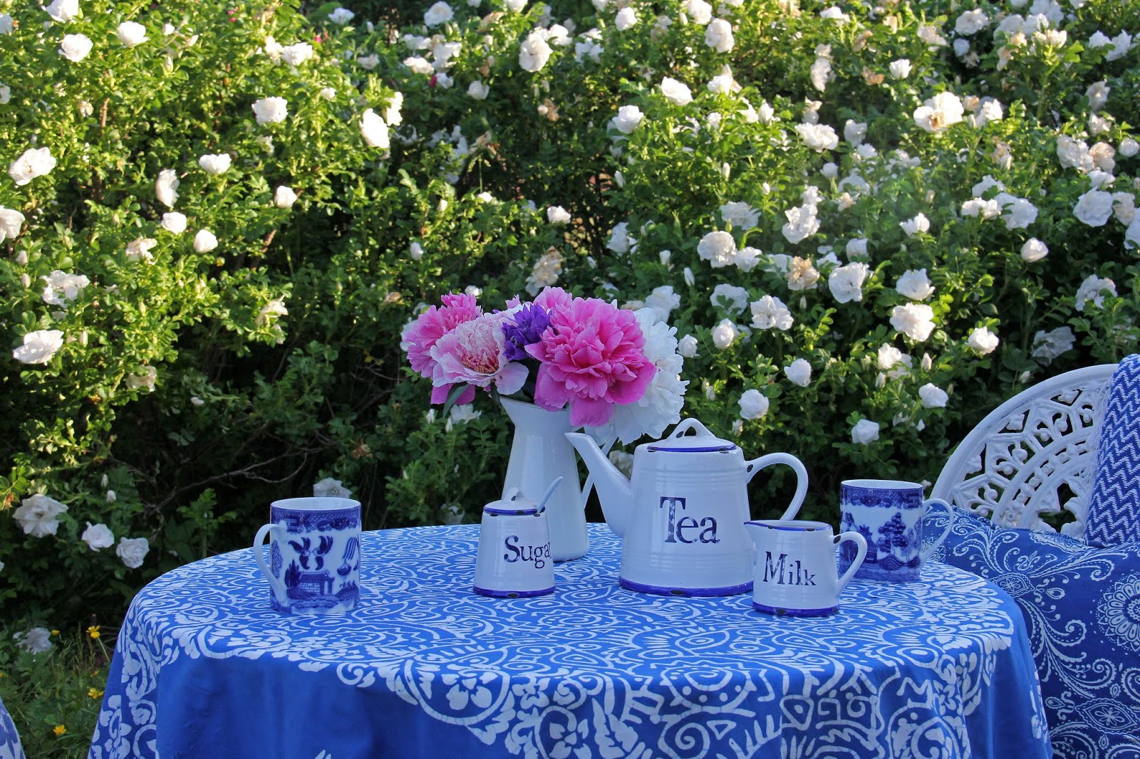 Aiken House & Gardens Rose Garden Tea