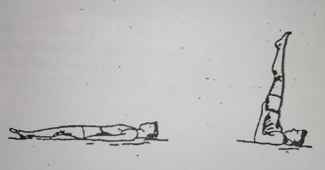 Cara Melakukan Sikap Lilin Pada Senam Lantai