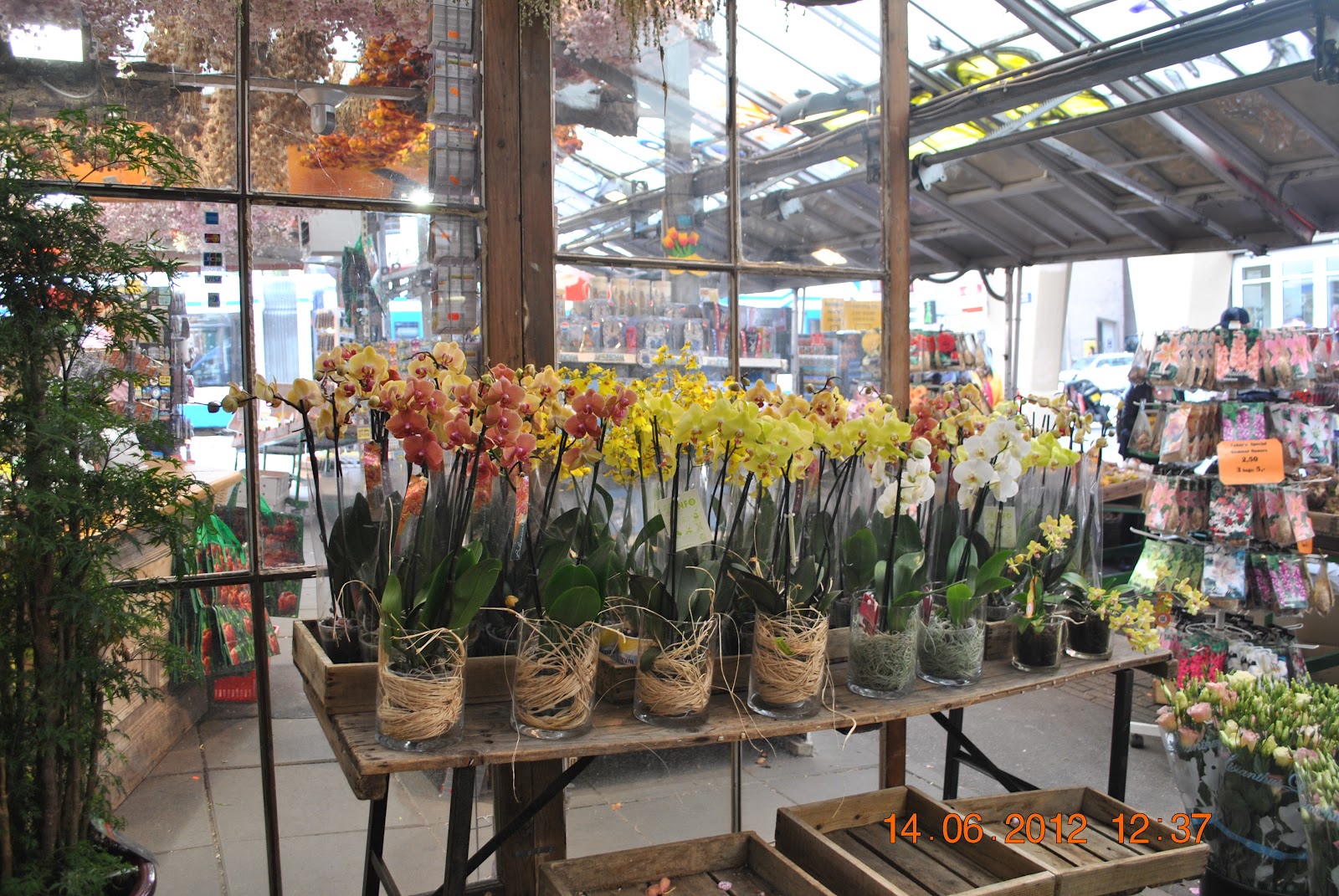 De peste tot si de nicaieri Piata de flori, Amsterdam