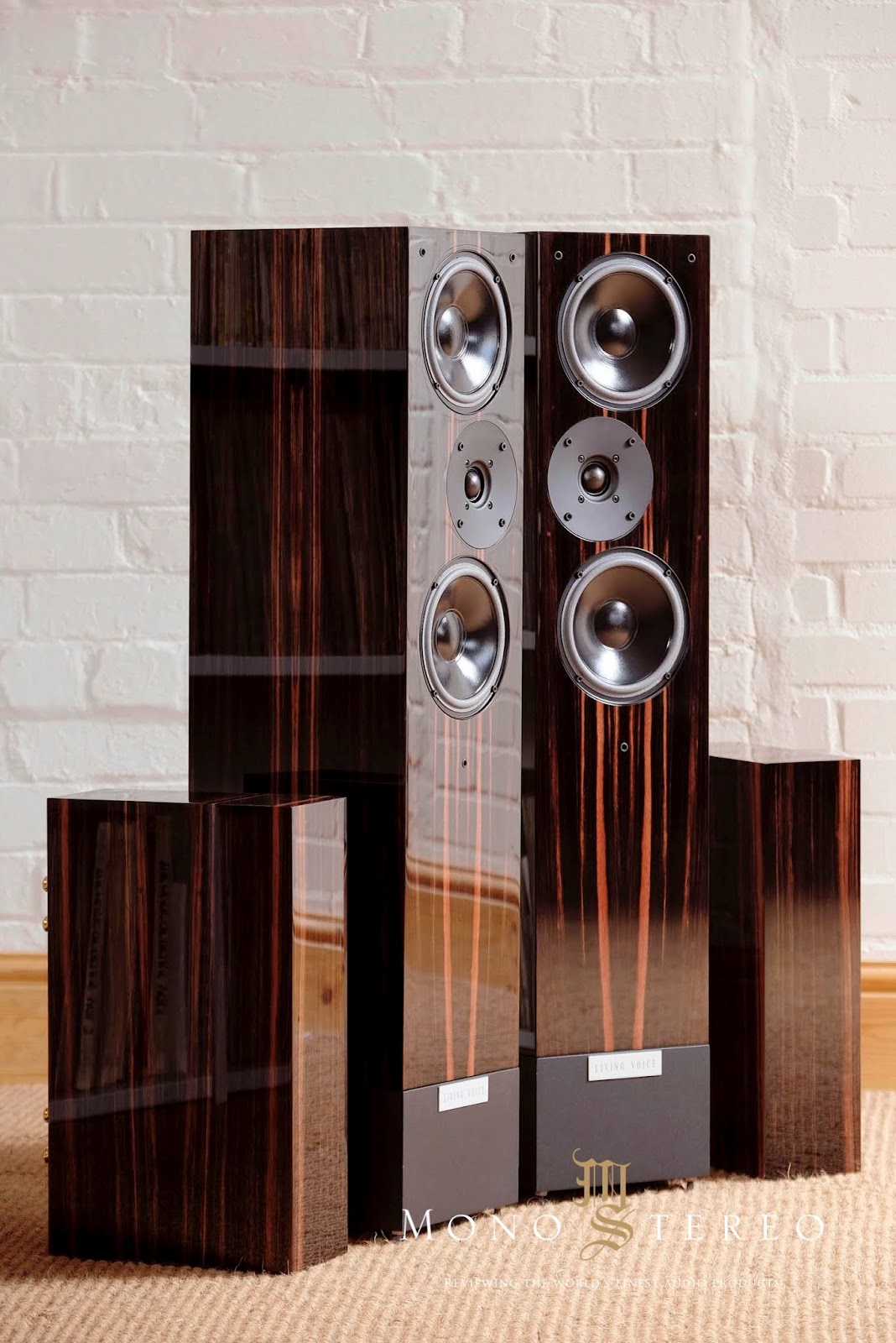 Living voice. Living voice vox olympian. Living voice. сабвуфер living voice vox elysian. Living voice airscout.