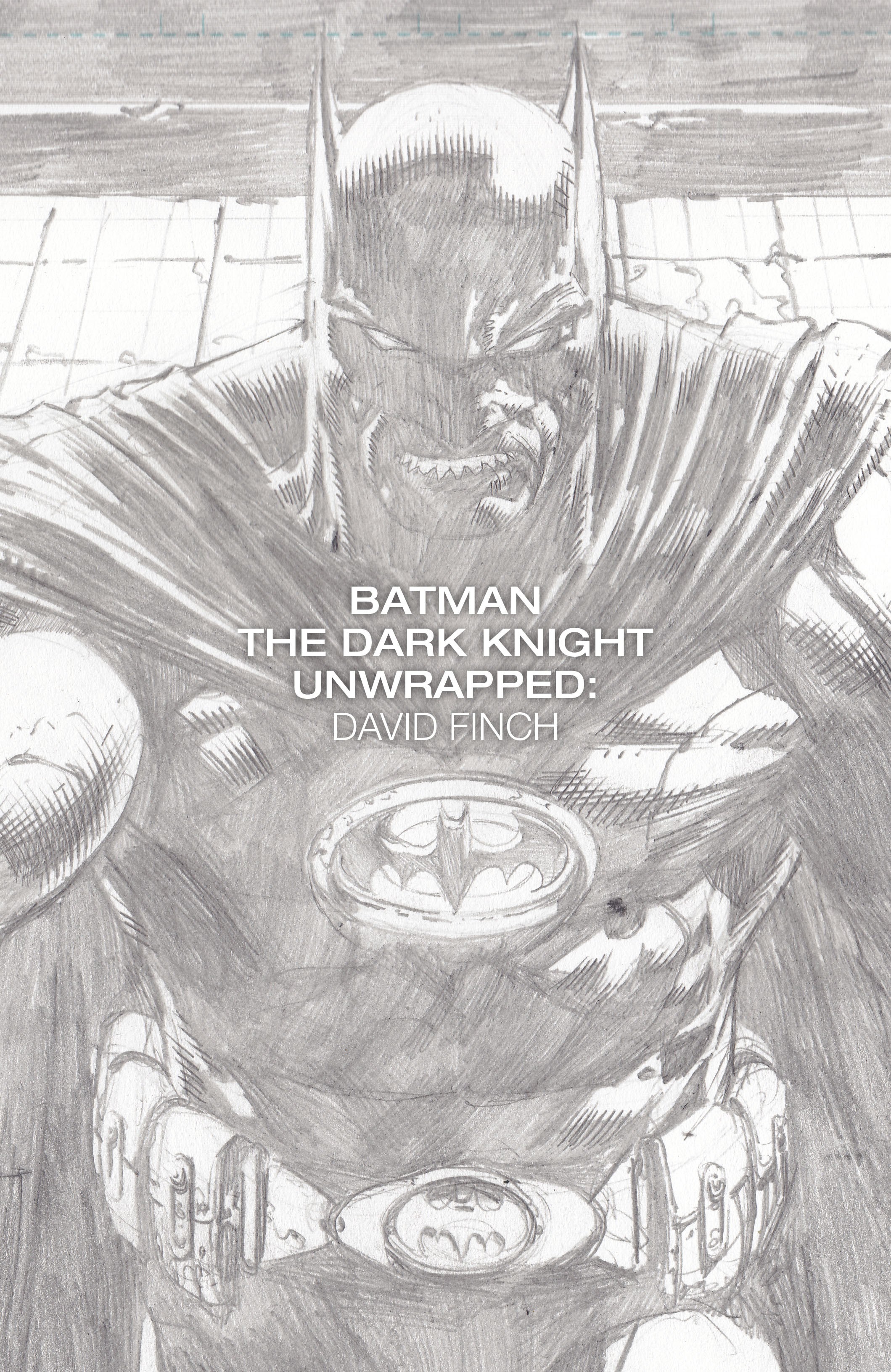 Read online Batman: The Dark Knight Unwrapped By David Finch Deluxe Edition comic -  Issue # TPB (Part 1) - 2