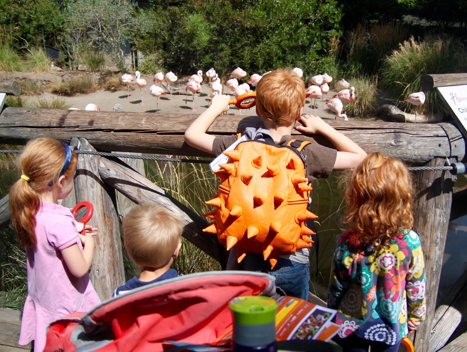 watch out for the woestmans Woodland Park Zoo Discount