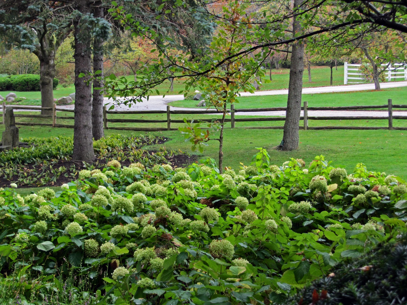 Gatsbys Gardens Crabtree Farm