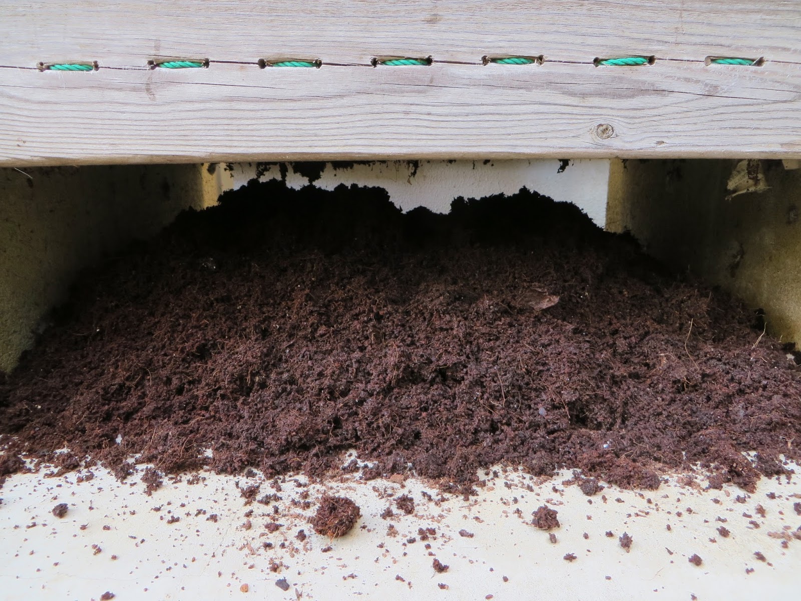 みみず御殿日記 冬のミミズコンポスト