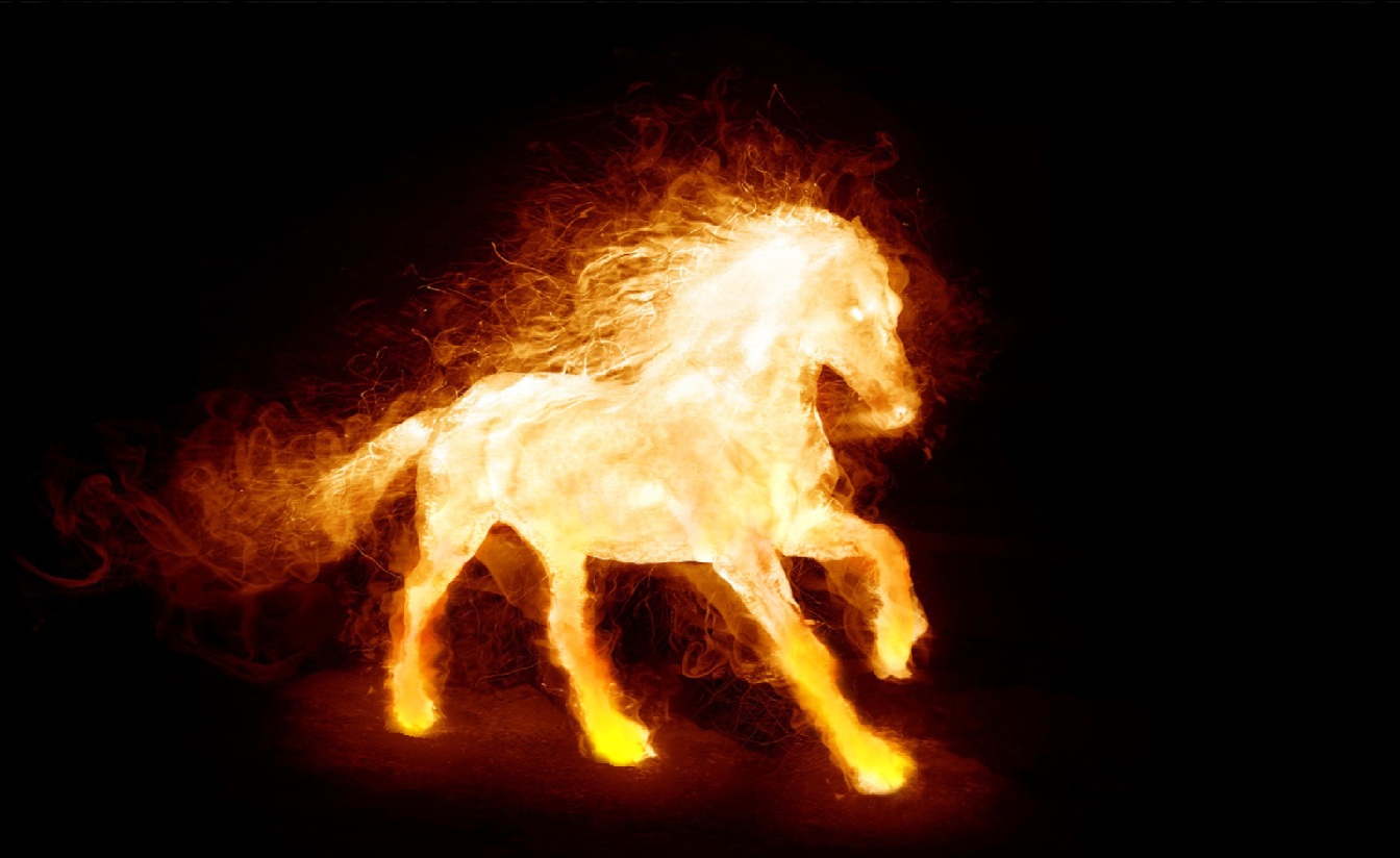Fire Horse Wall Paper Store