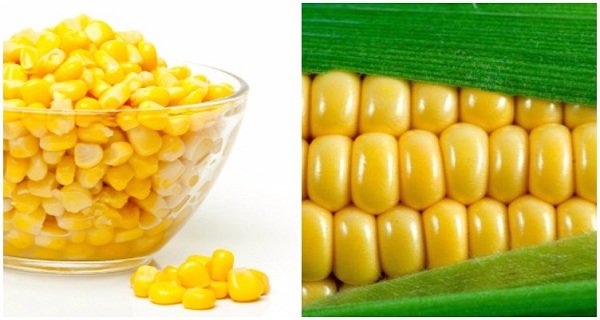 The Shocking Truth About Corn: 6 Reasons Not To Eat It Anymore