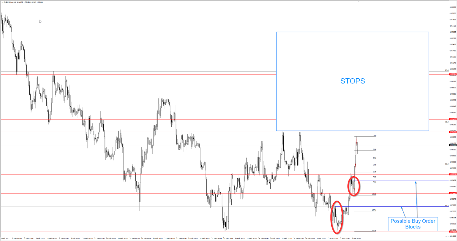 what are order blocks in forex