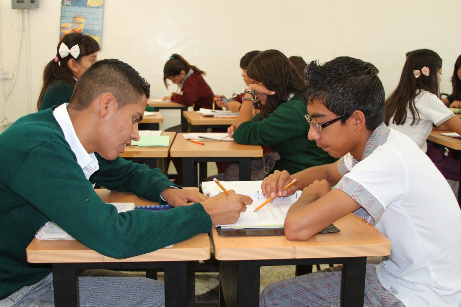 El IEA Trabajara con Redes de Tutoría en Educación Básica.
