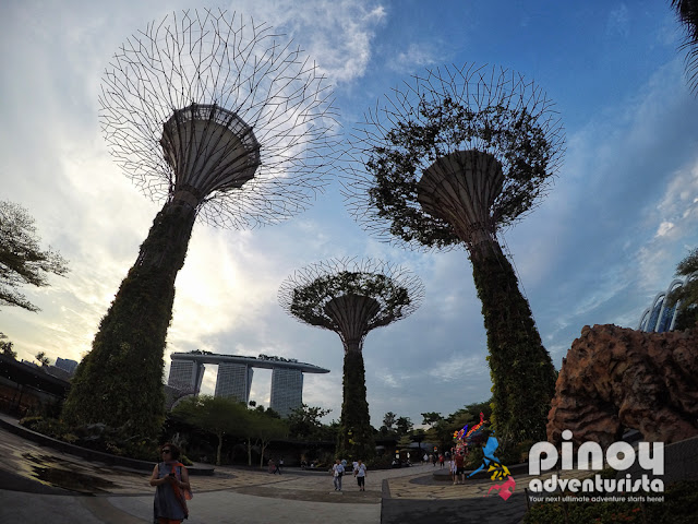 Free Things To Do in Singapore