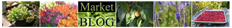 market blog collage 1