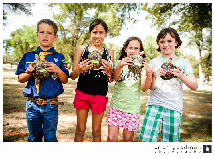 A Kansas Fair Affair Wallace County Fair Sharon Springs, KS