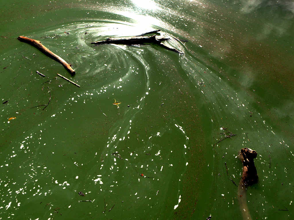 HERE WE ARE! Enviromental problems in Spain