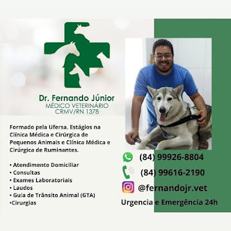 Campo Grande e Região Oeste agora conta com atendimento Veterinário do Dr. Fernando Júnior