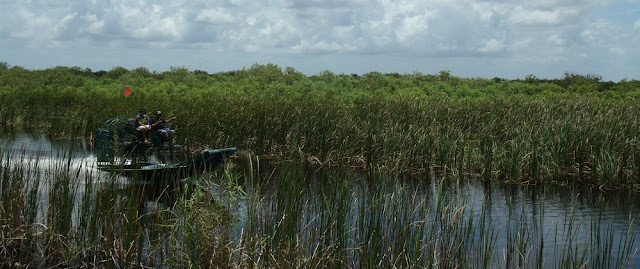 Airboats en los Everglades Airboats en los Everglades