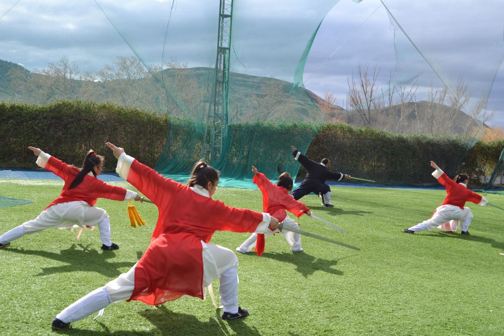 Clases de Artes Marciales Wudang - Shaolin Kung-Fu - Wing Chun - Información Tlf 626992139 Paty-Lee
