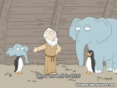 Noah's Ark Elephant Penguin Cartoon ~ Silly Bunt Funny