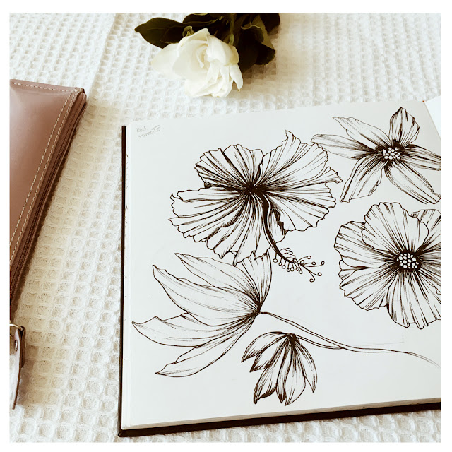 sketchbooks, botanical designs, flower drawings, Barbie McGuire