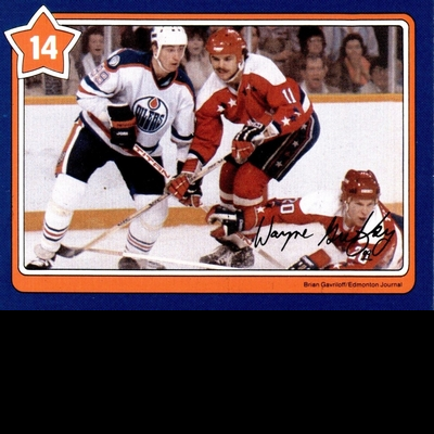  MIKE GARTNER: Try finding a hockey card with more total career goals - Wayne Gretzky (894), Mike Gartner (702)… and Greg Therberg (15).
