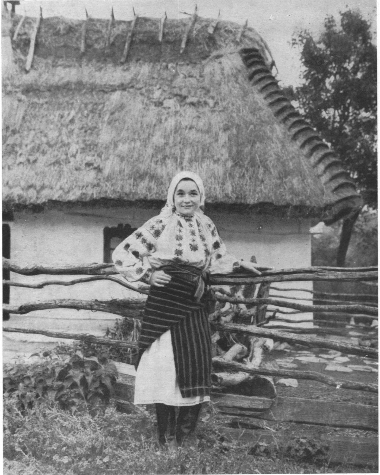 аля "хата-мазанка". украинское село 19 века. галиция 18 век. мазанки на украине 19 век. украина село 19 век.