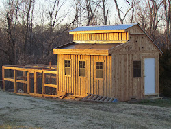chicken coop roof living shed garden barn chickens windows rustic run inside cedar gardener blonde door clever chicks hop three