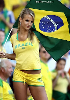 Brazil World Cup Fan