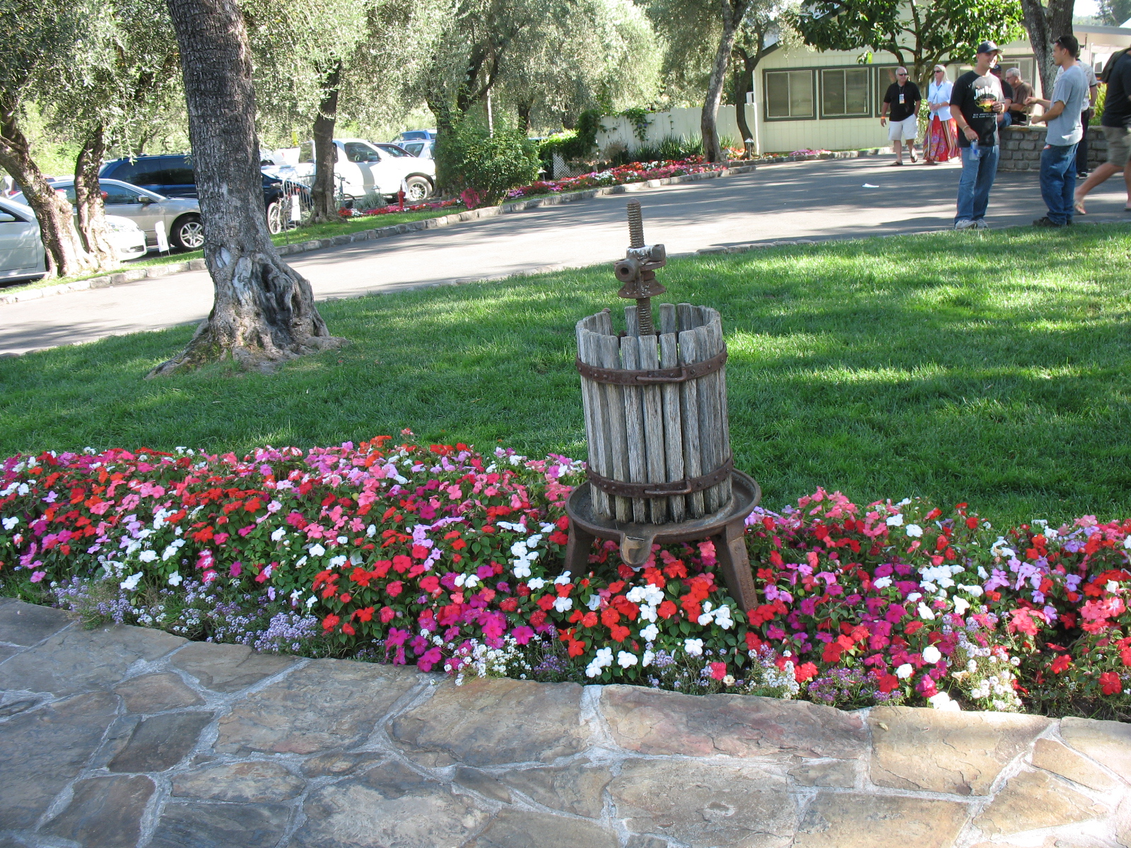 Miss Bloomers The Flowers of Northern California
