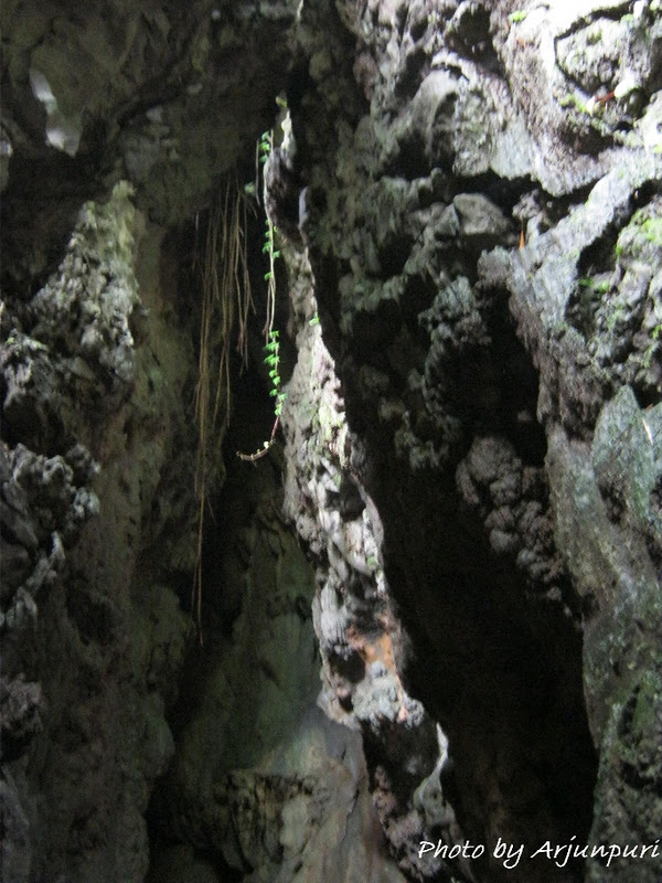 Arjunpuri in Qatar: Mawsmai Caves in Meghalaya- Day 5