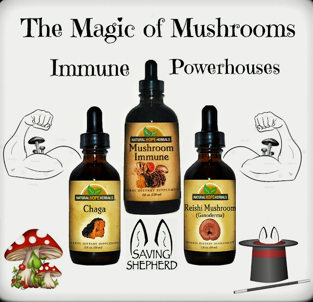 https://www.savingshepherd.com/search?type=product&q=mushroom