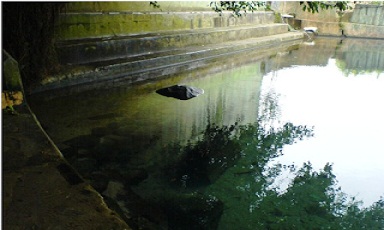 SITUS BATU QUR`AN PANDEGLANG BANTEN INFO BUDAYA DAN WISATA INFO BUDAYA