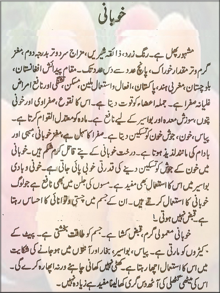 Apricot Health Benefits in Urdu