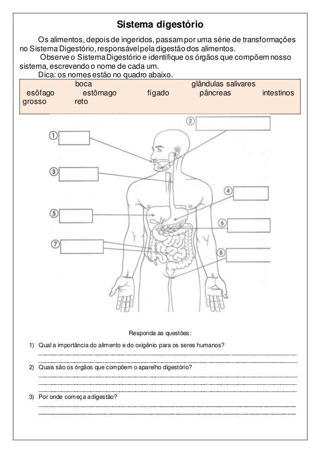 Atividades para imprimir do 3º ao 5º anos sempre a mão: Sistema