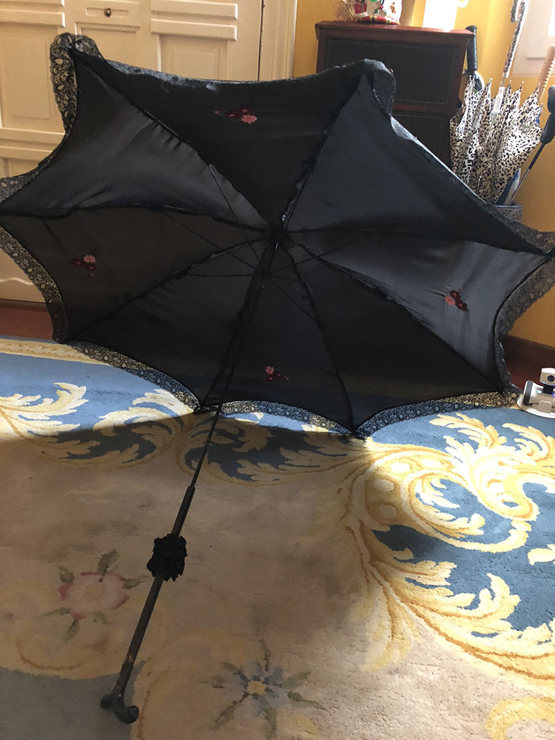 El Armario de Lady Sombrilla negra bordada