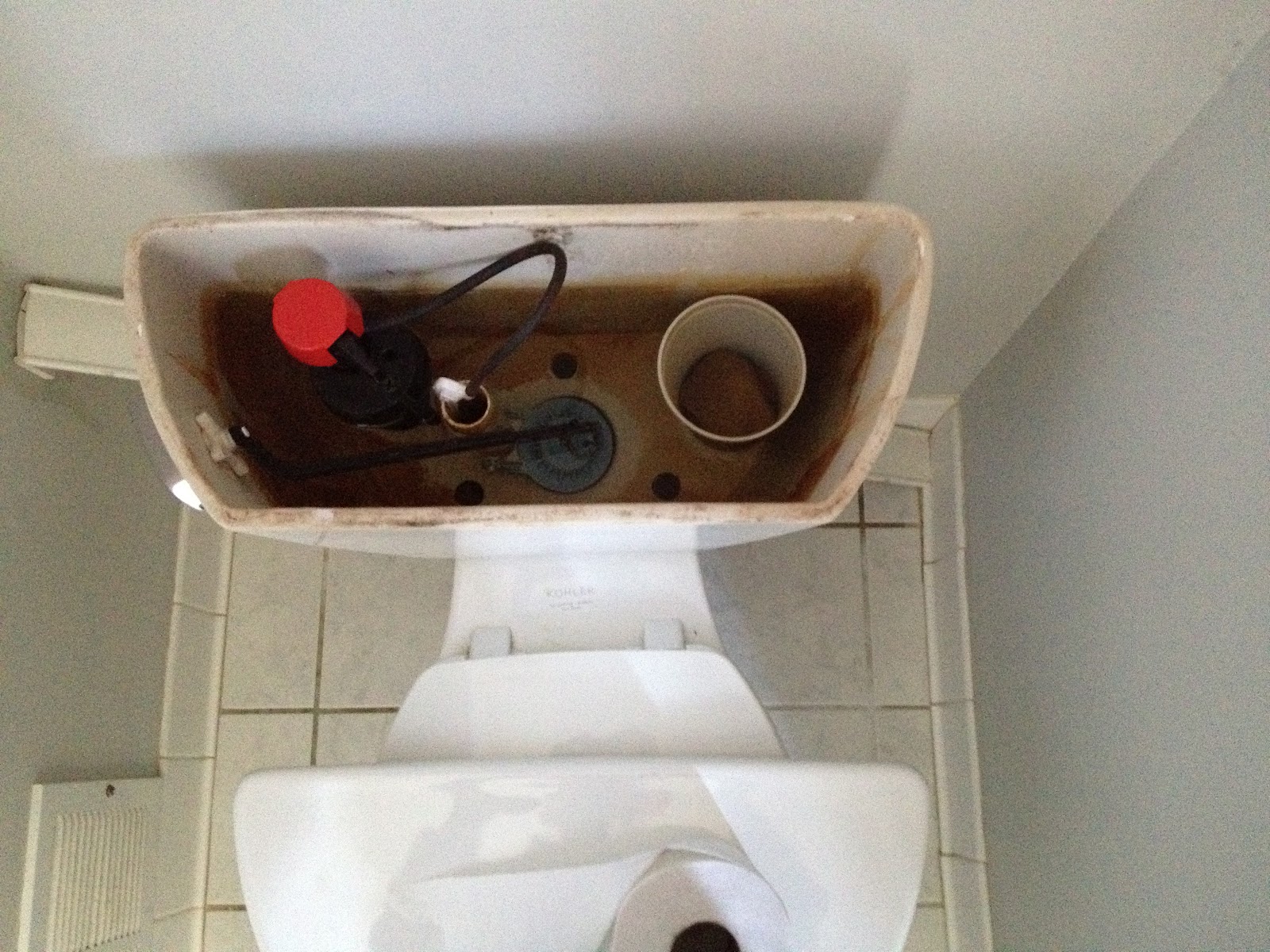 Henry's No Impact Week Greening My Slice of CLT Toilet Dam Extra 5/10