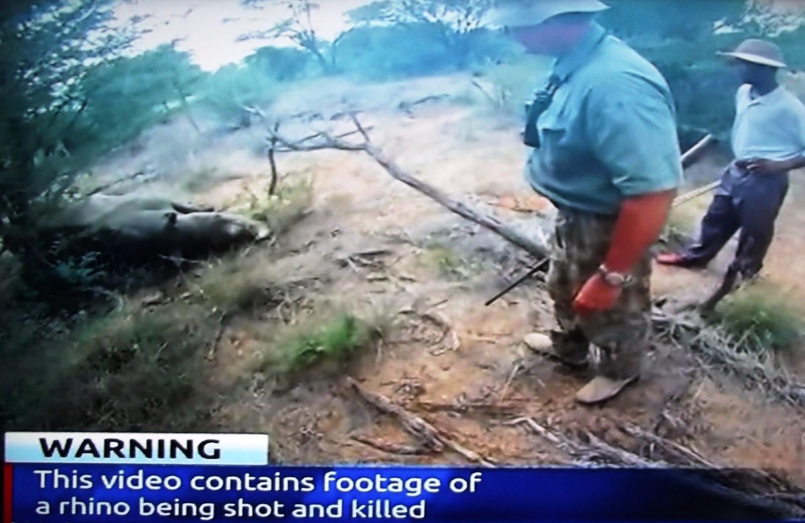 illegal killing of a terrified rhino