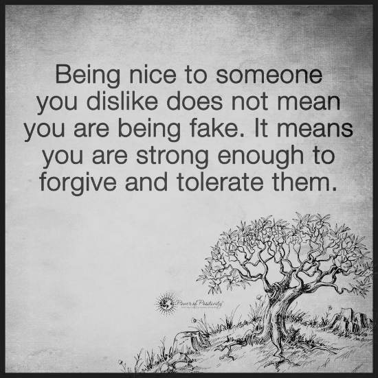Being nice to those you dislike does not make you a fake person - Quote