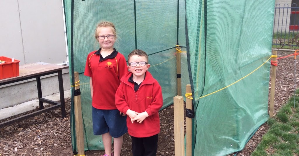Halswell Green Thumbs: Hurray! A Greenhouse!