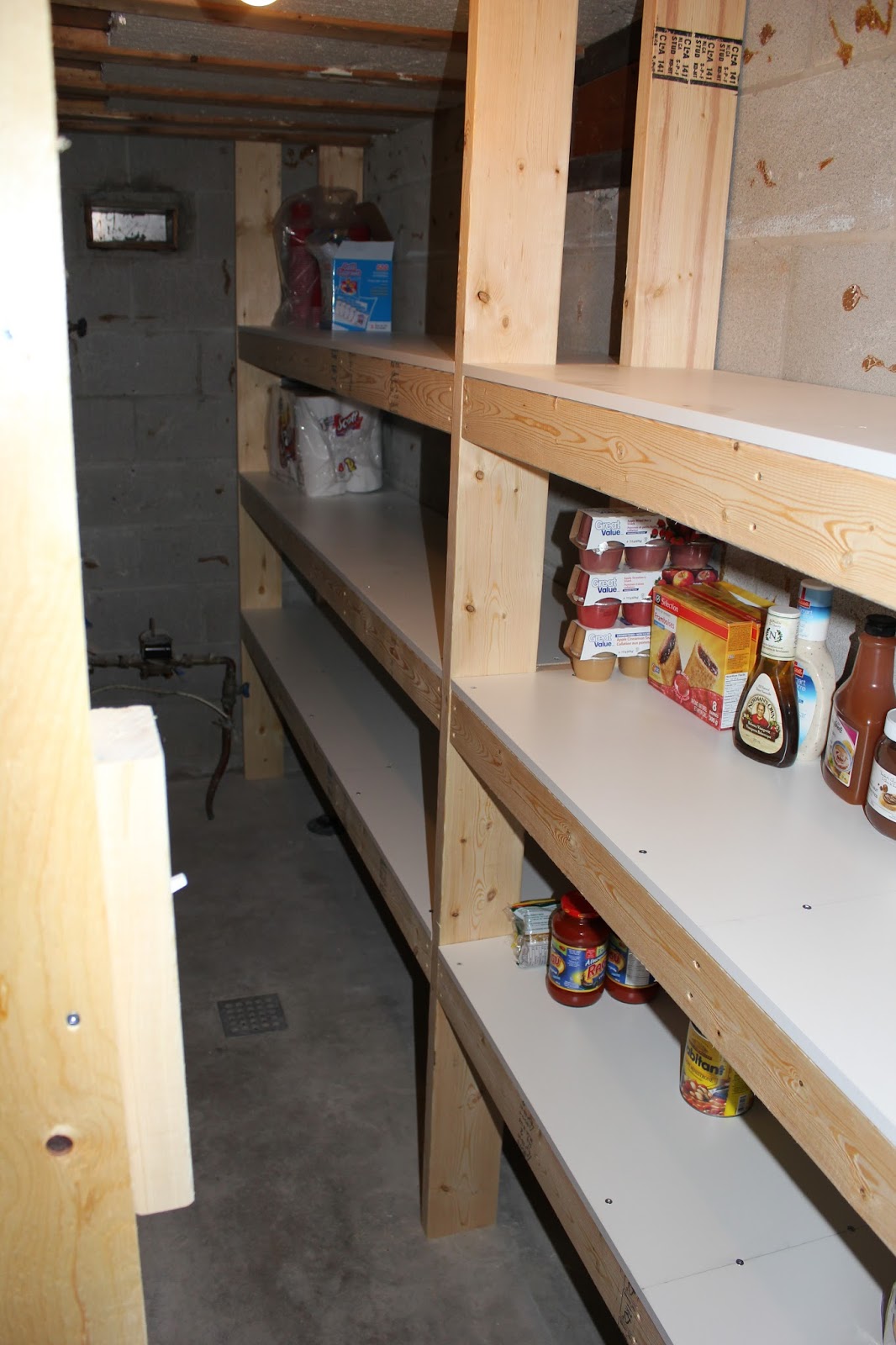 Do It Yourself Builds How to Build Storage Shelves (In a Cold Room)