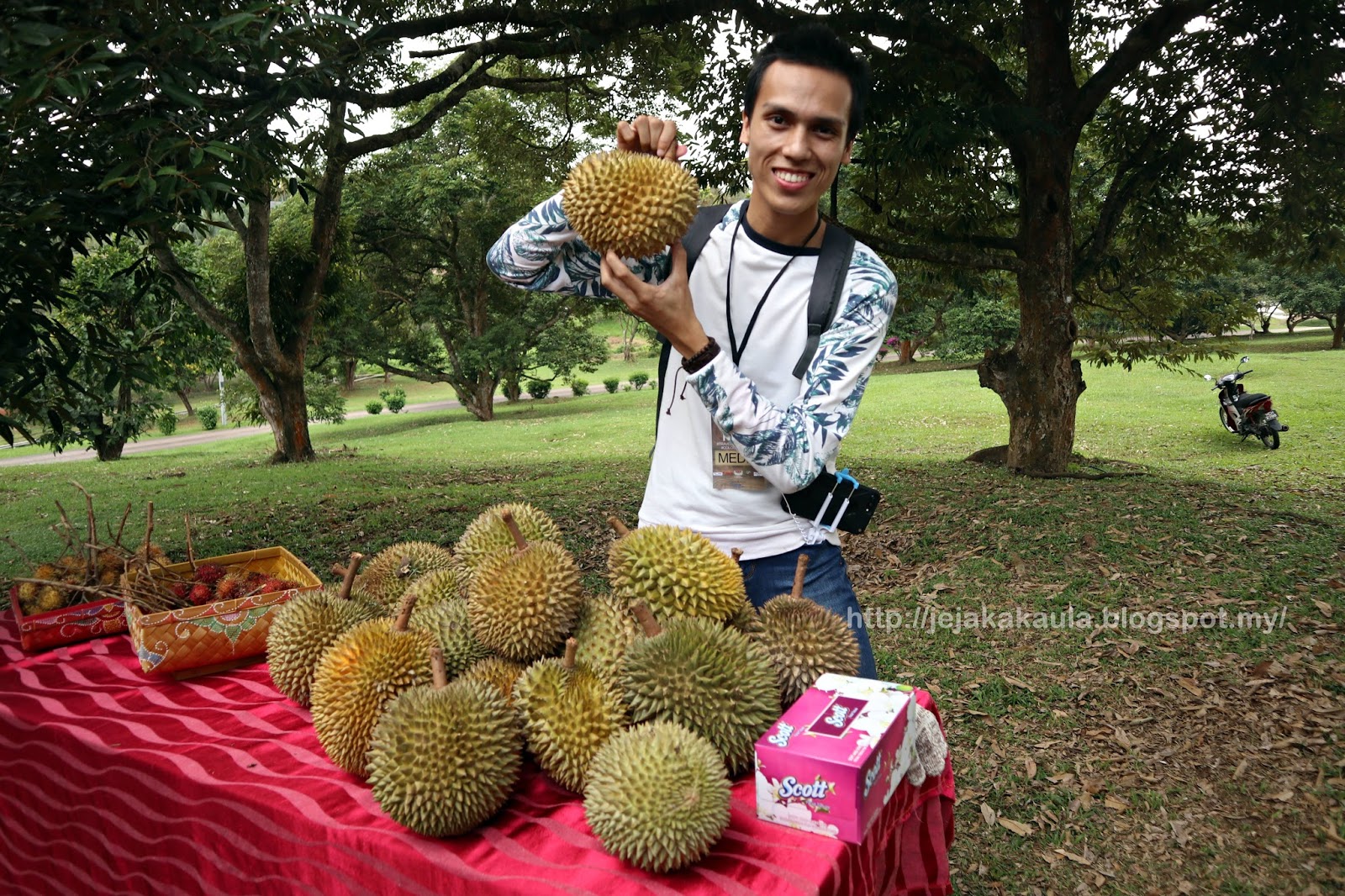 Melaka Tropical Fruit Farm, Sg Udang Melaka. JEJAKAKAULA