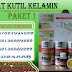 Gelaja Apa yang dirasakan dari penderita Penyakit Kondiloma Akuminata thumbnail