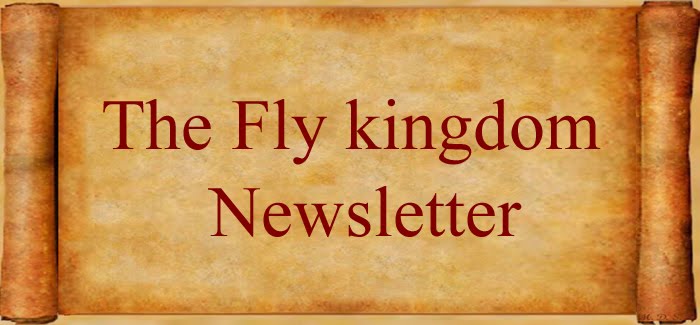 The Fly Kingdom Newsletter