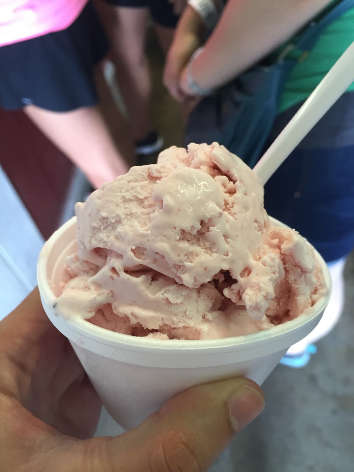 Iowa State Fair Ice Cream