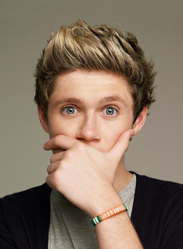 BIODATA ONE DIRECTION BIODATA ONE DIRECTION BIODATA ONE DIRECTION BIODATA ONE DIRECTION