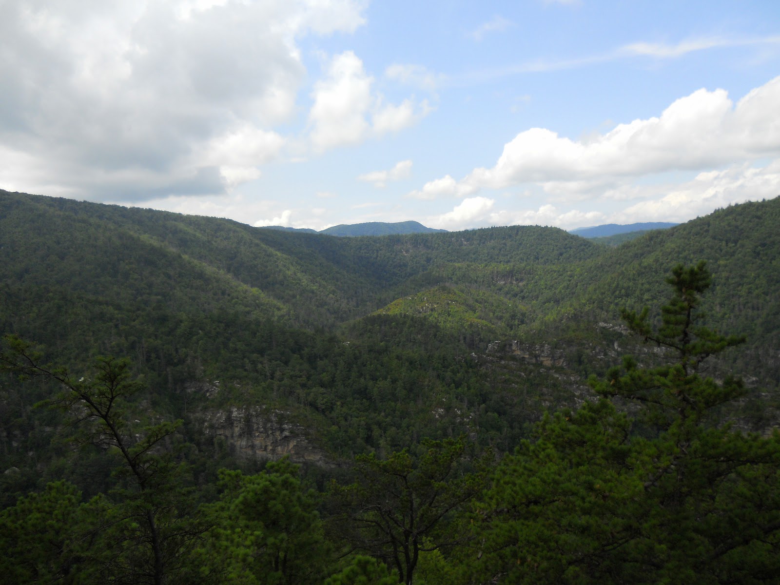 Hiking with a Fat Bald White Guy: Linville Gorge - Devils Cliff