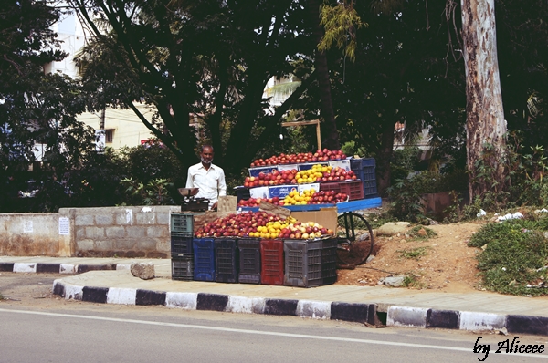 piata-cu-fructe-si-legume-India