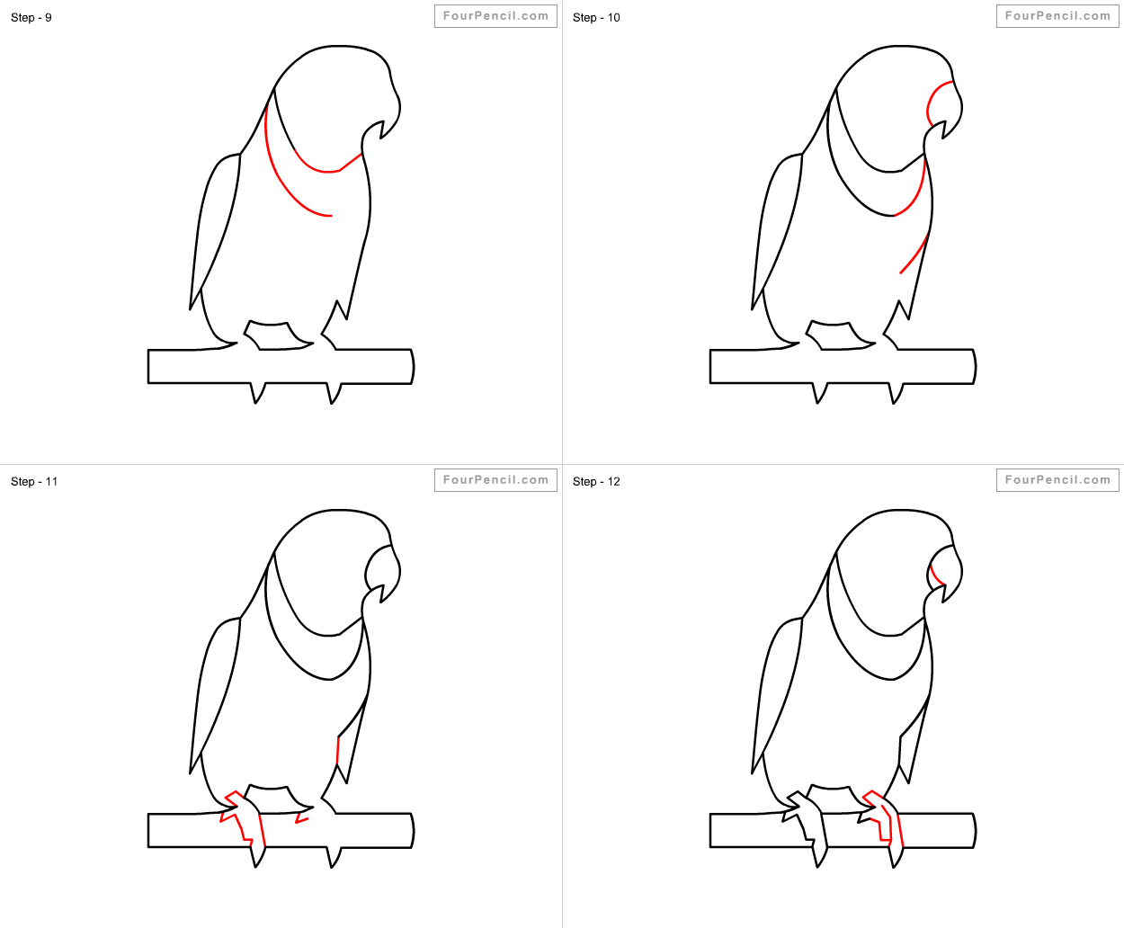 Fpencil: How to draw Parrot for kids step by step