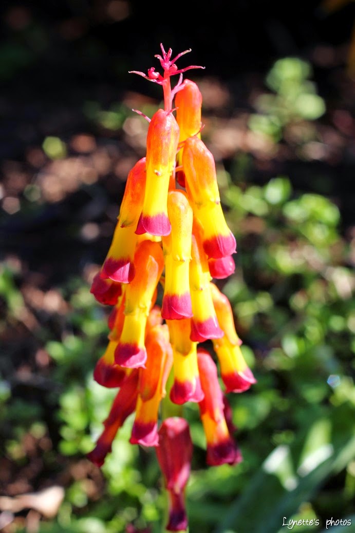 My Life...Perfectly Imperfect Cape Town visit Photo post