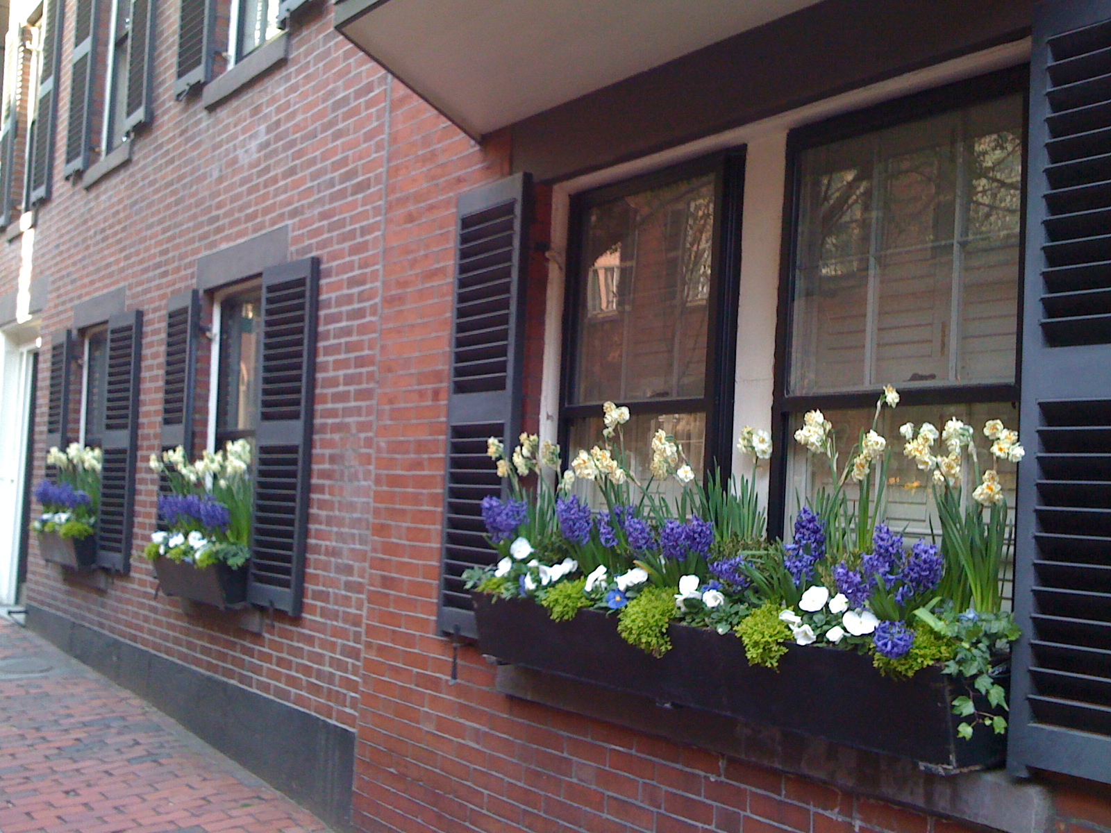 Journey Home Interior Design for Canberra Window Box Inspiration
