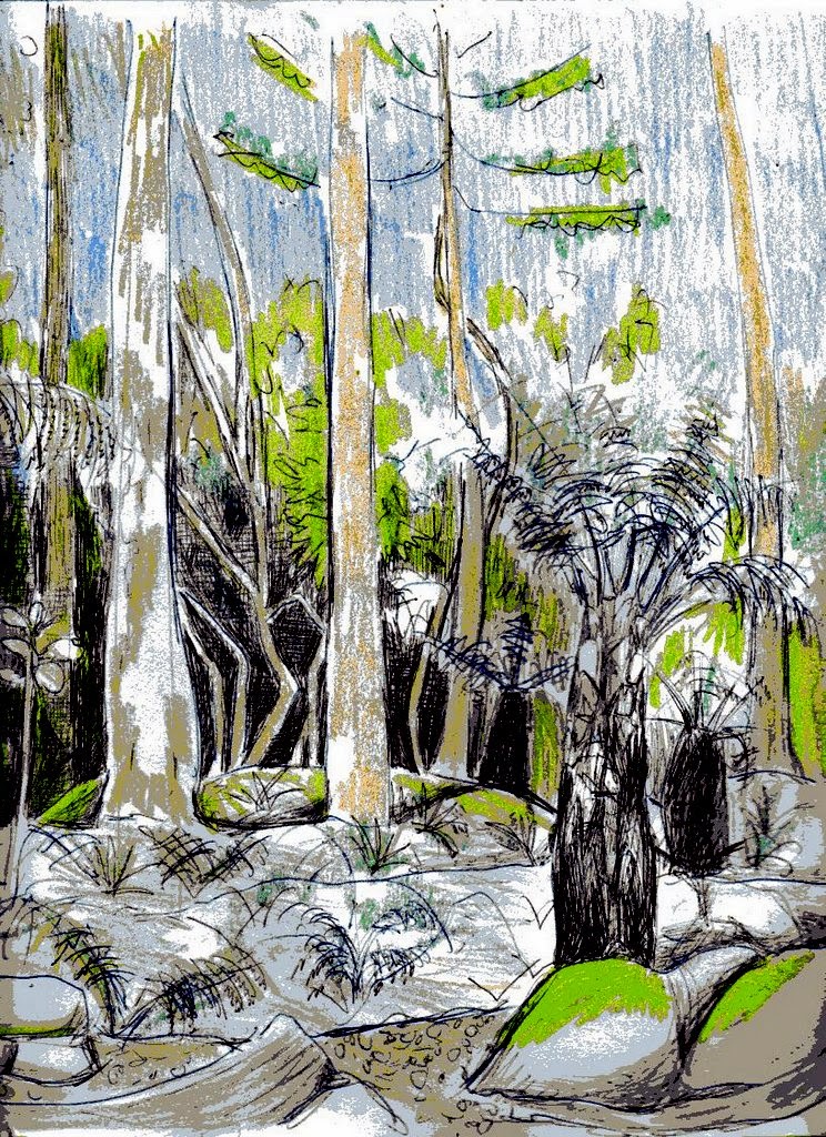 Geelong Visual Diary Ferns at the Geelong Botanical Gardens