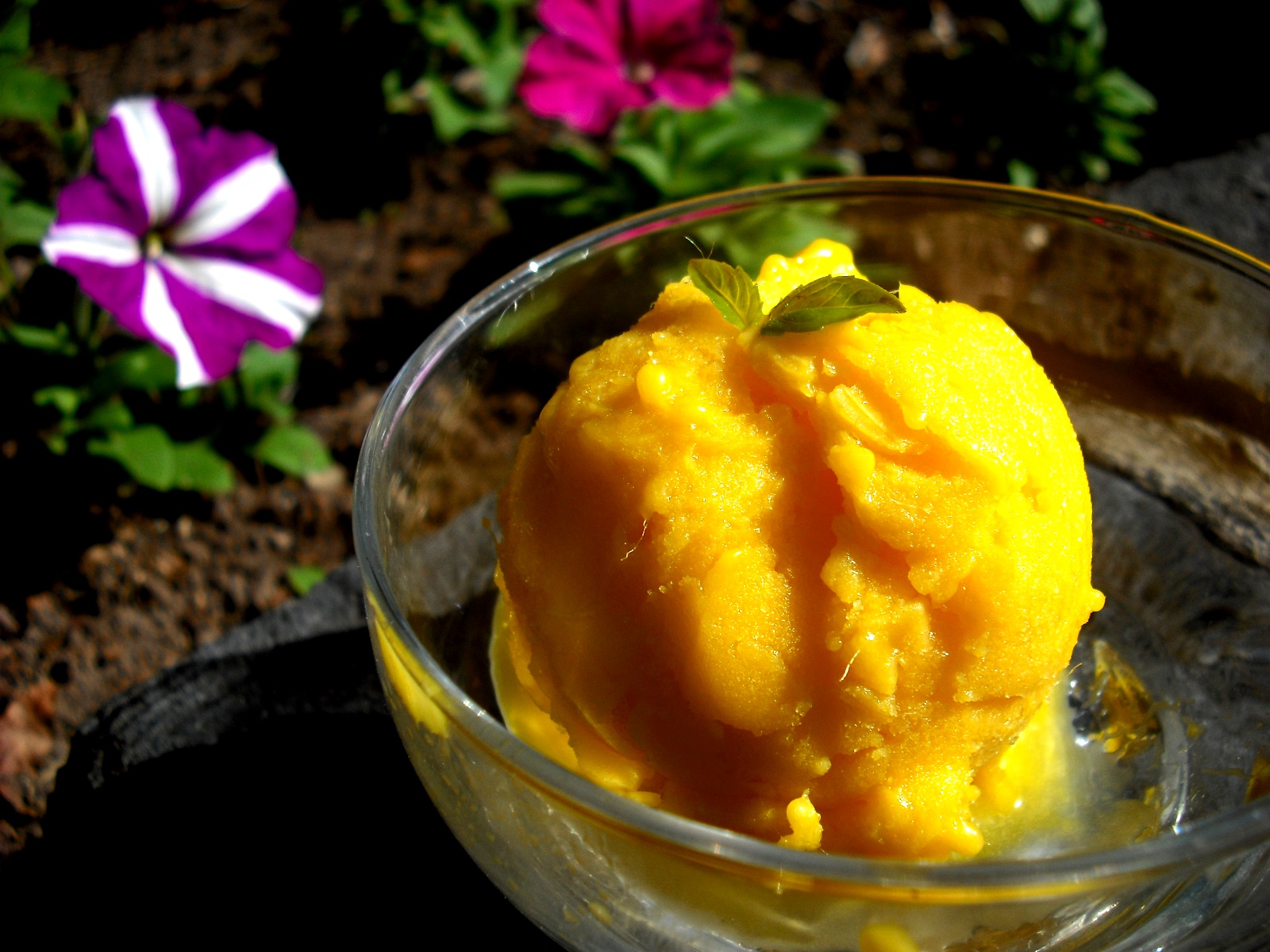 For the Love of Butter: Mango Sorbet